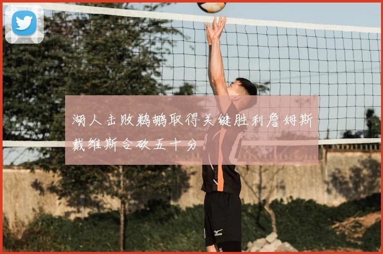 湖人击败鹈鹕取得关键胜利詹姆斯戴维斯合砍五十分