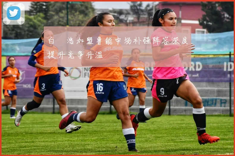 白昇浩加盟鲁能中场补强阵容深度提升竞争升温