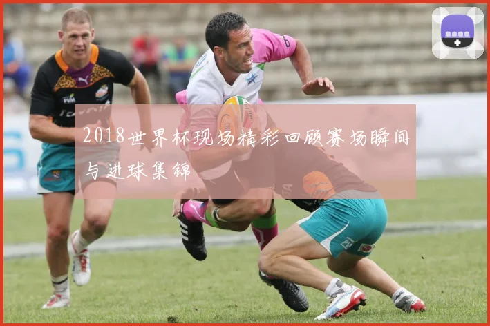 2018世界杯现场精彩回顾赛场瞬间与进球集锦