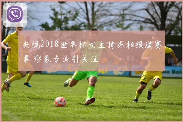 央视2018世界杯女主持亮相报道赛事 形象专业引关注