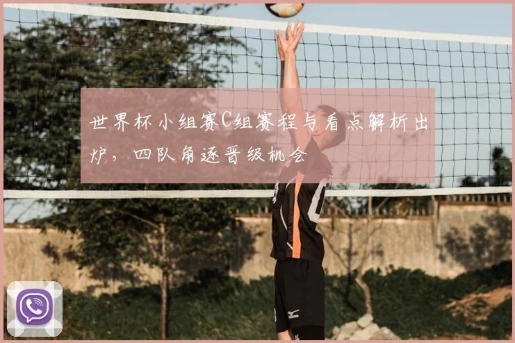 世界杯小组赛C组赛程与看点解析出炉,四队角逐晋级机会