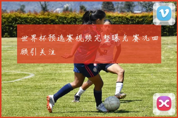 世界杯预选赛视频完整曝光 赛况回顾引关注
