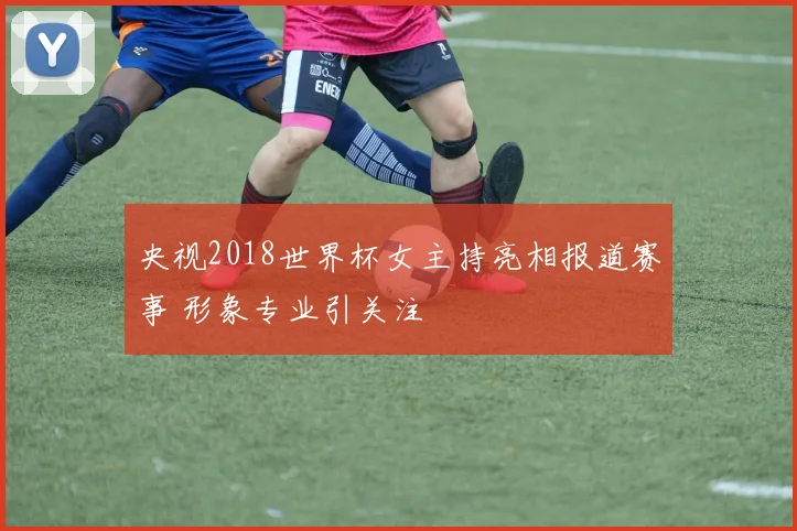 央视2018世界杯女主持亮相报道赛事 形象专业引关注