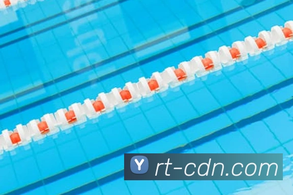 世界杯开户平台服务体系